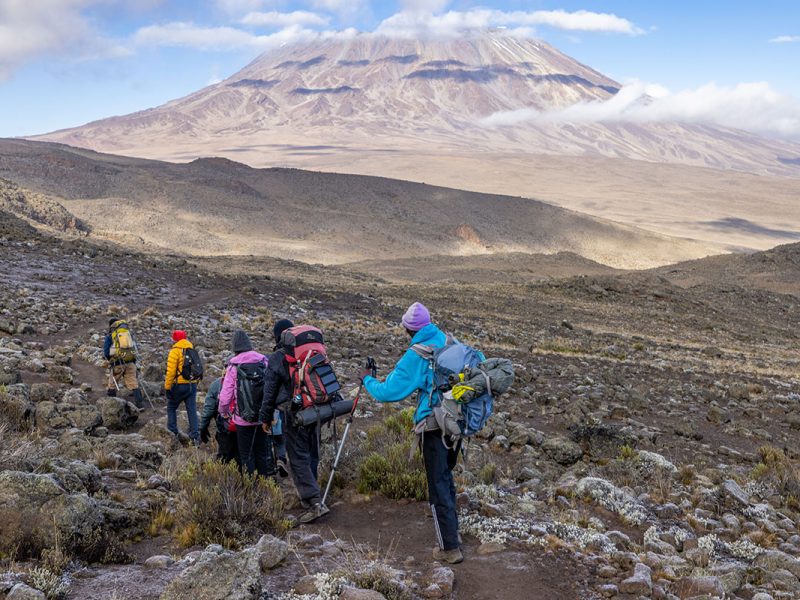 Kilimanjaro trekking tours group on the route