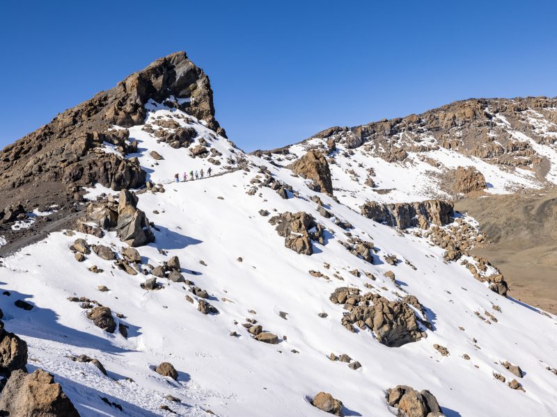 Lemosho route Kilimanjaro scenery