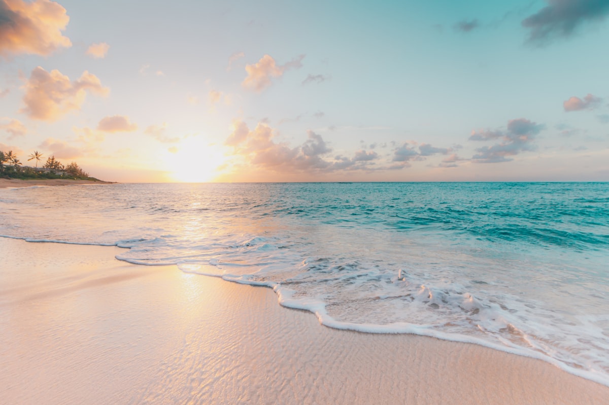 Quiet palm-fringed beach at Bwejuu on Zanzibar's east coast