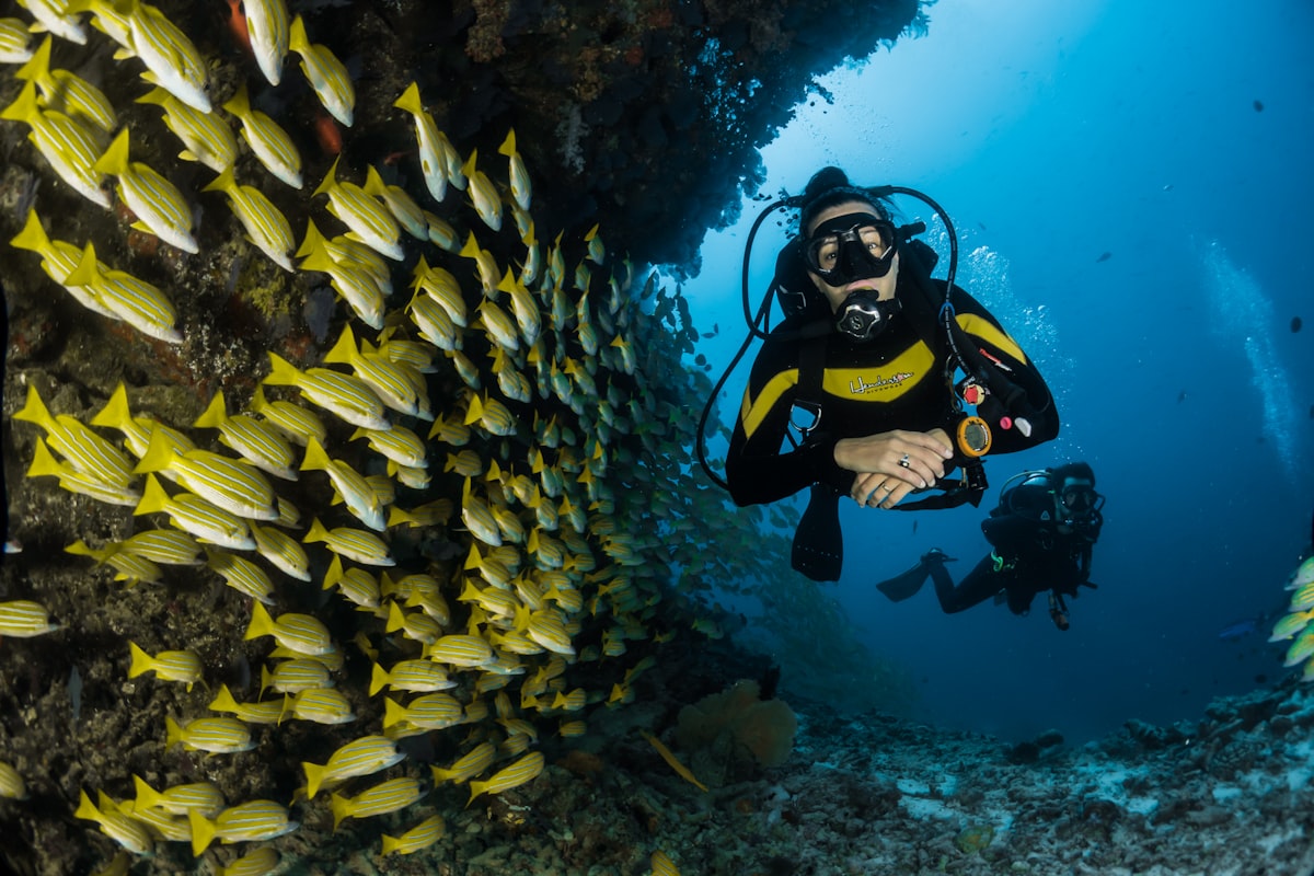 Snorkeller exploring a coral reef on a Safari Blue trip in Zanzibar