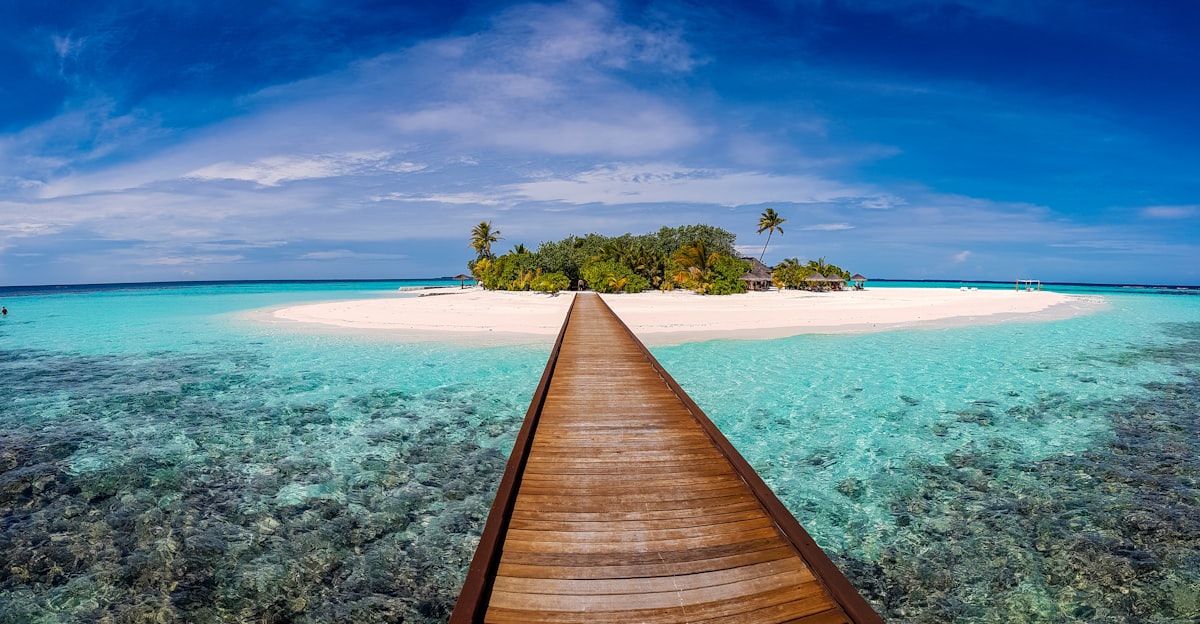 Palm-lined beach resort area in northern Zanzibar reached by airport transfer